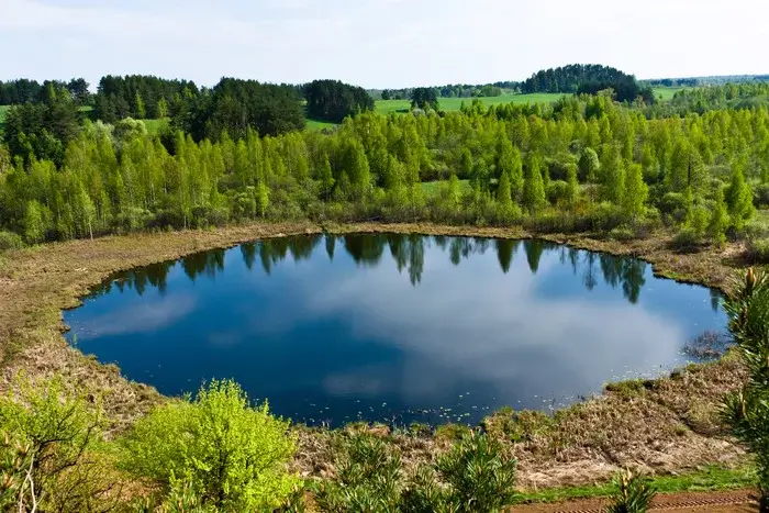 маршрутка гродно-минск-гродно
